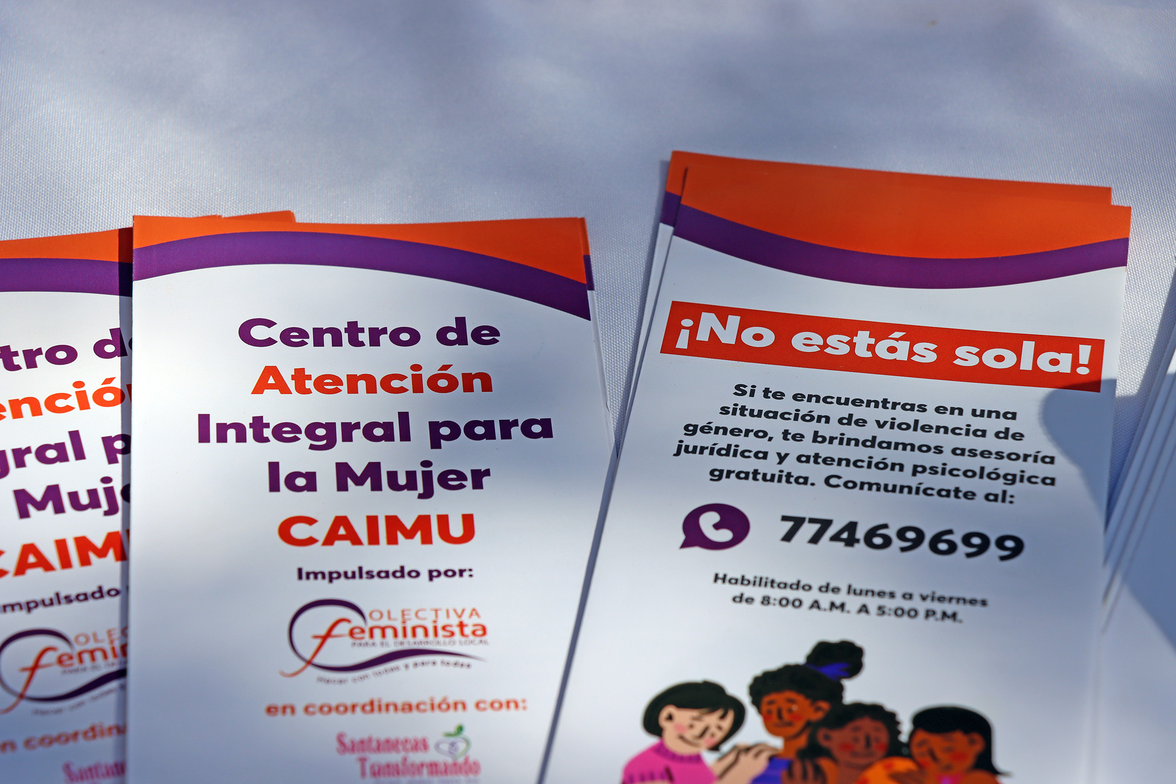 Campañas Colectiva Feminista en Occidente
