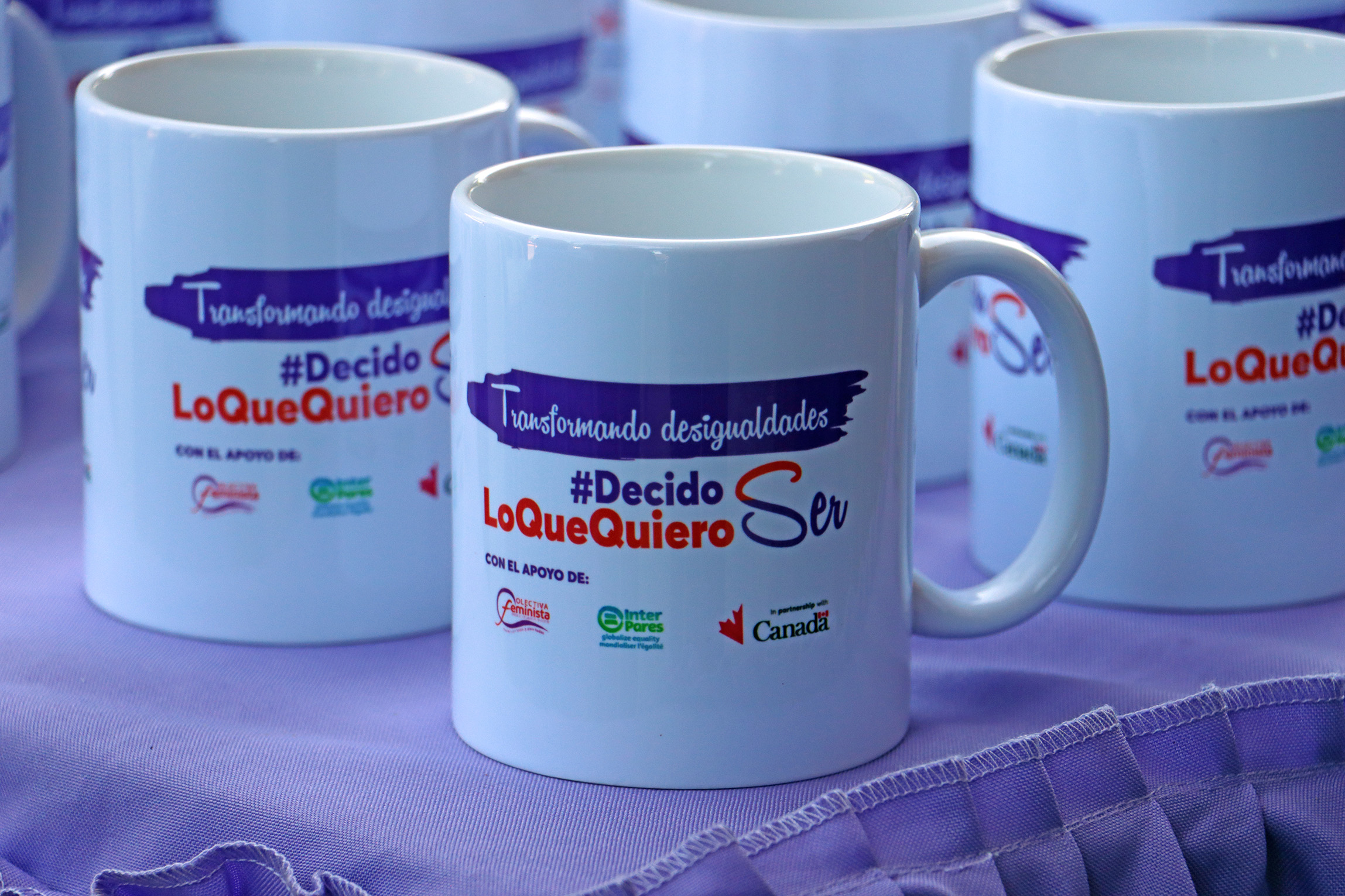 Campañas Colectiva Feminista en Occidente