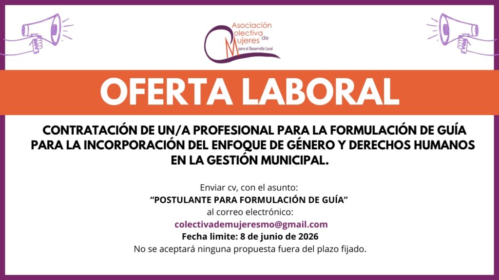 CONTRATACIÓN DE UN/A PROFESIONAL PARA LA FORMULACIÓN DE GUÍA PARA LA INCORPORACIÓN DEL ENFOQUE DE GÉNERO Y DERECHOS HUMANOS EN LA GESTIÓN MUNICIPAL