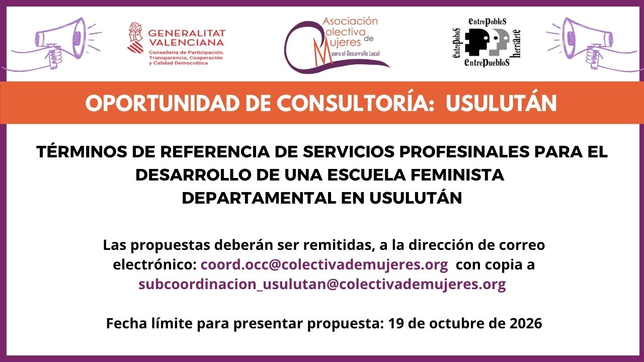 Oportunidad de consultoría: desarrollo de una escuela feminista departamental en el departamento de Usulután