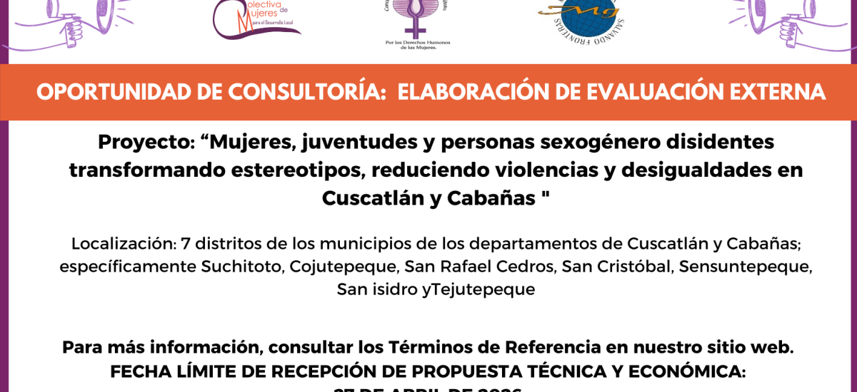TDR evaluación externa