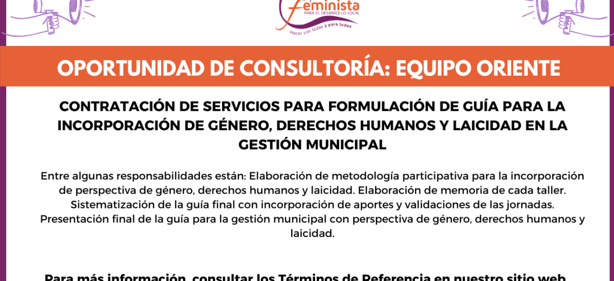 consultoria guía
